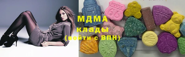 индика Волоколамск