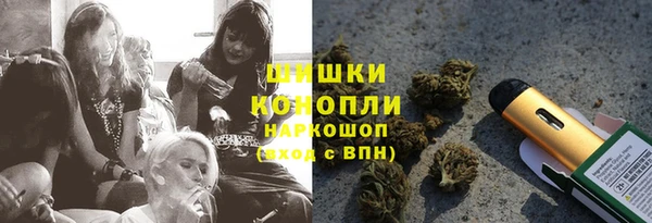 индика Волоколамск