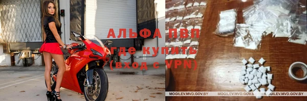 индика Волоколамск