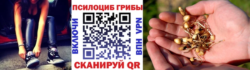 Галлюциногенные грибы MAGIC MUSHROOMS  ОМГ ОМГ как зайти  Заинск 